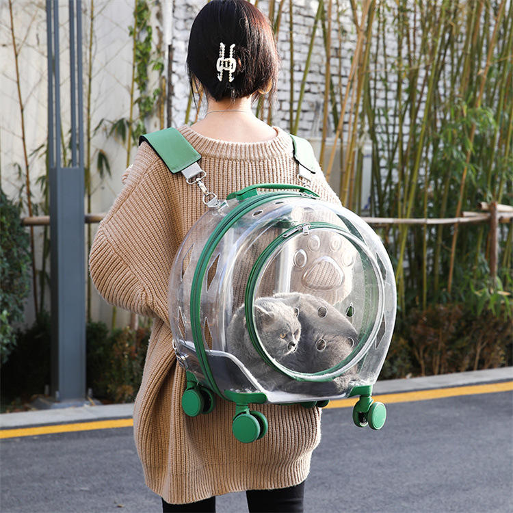 Cat Portable Space Capsule Backpack