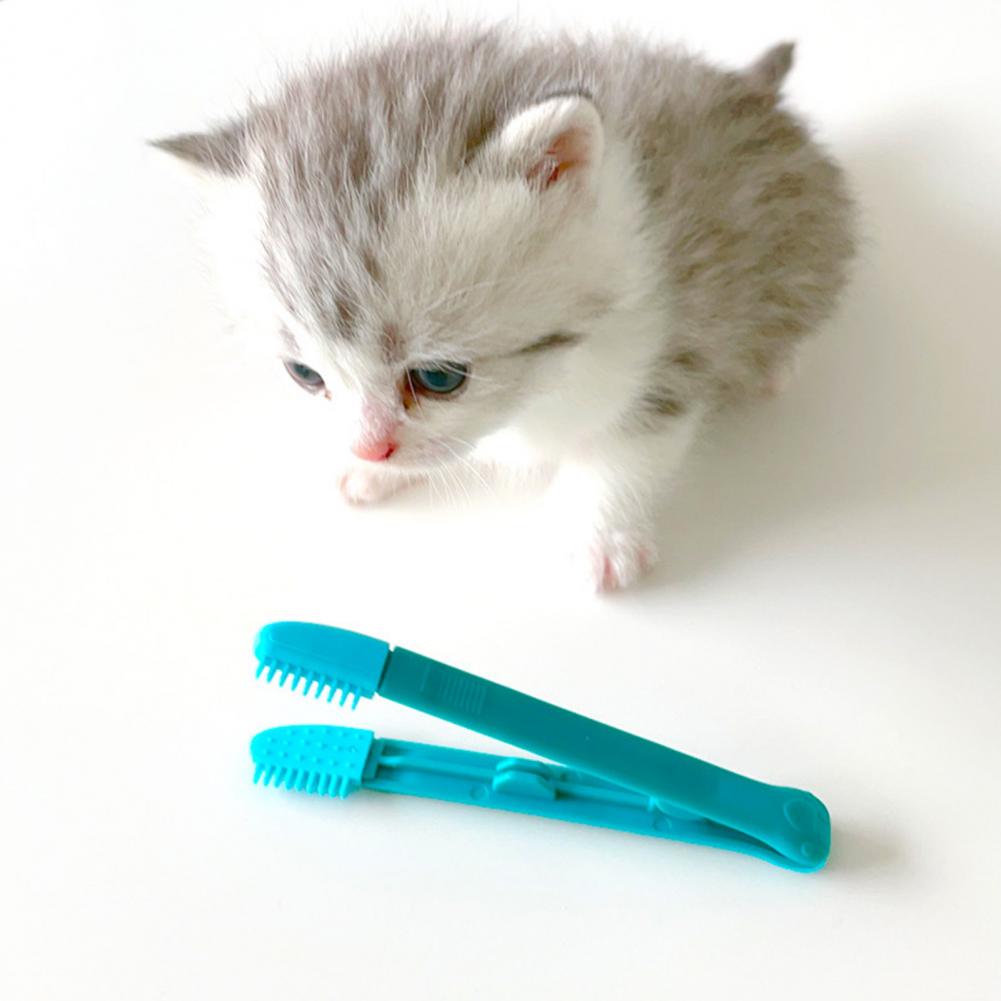 Kitten Eye Rub Brush