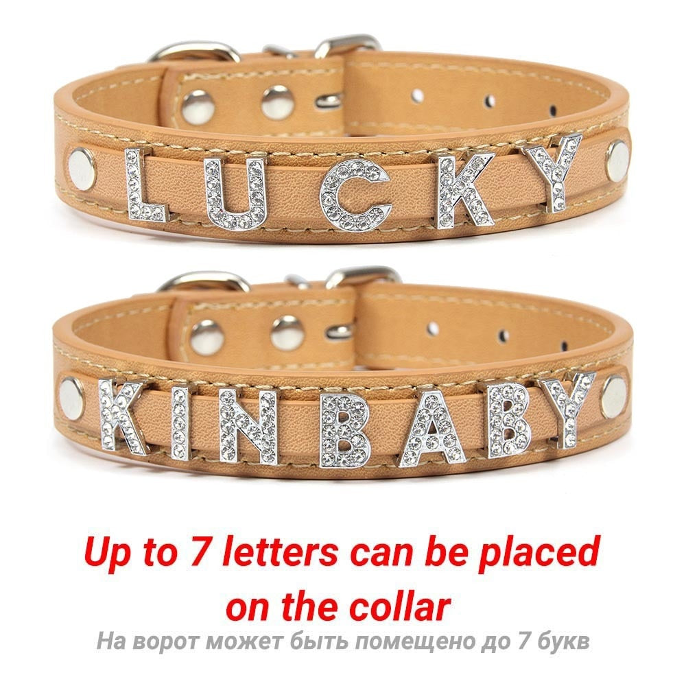 Custom Cat Dog Collar Personalized Id Name