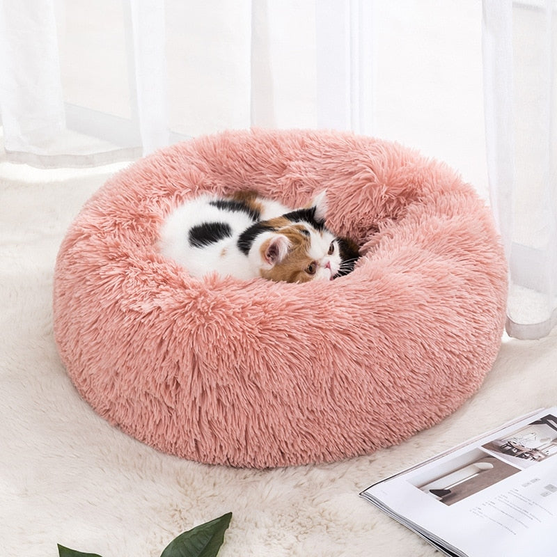 Cat Nest