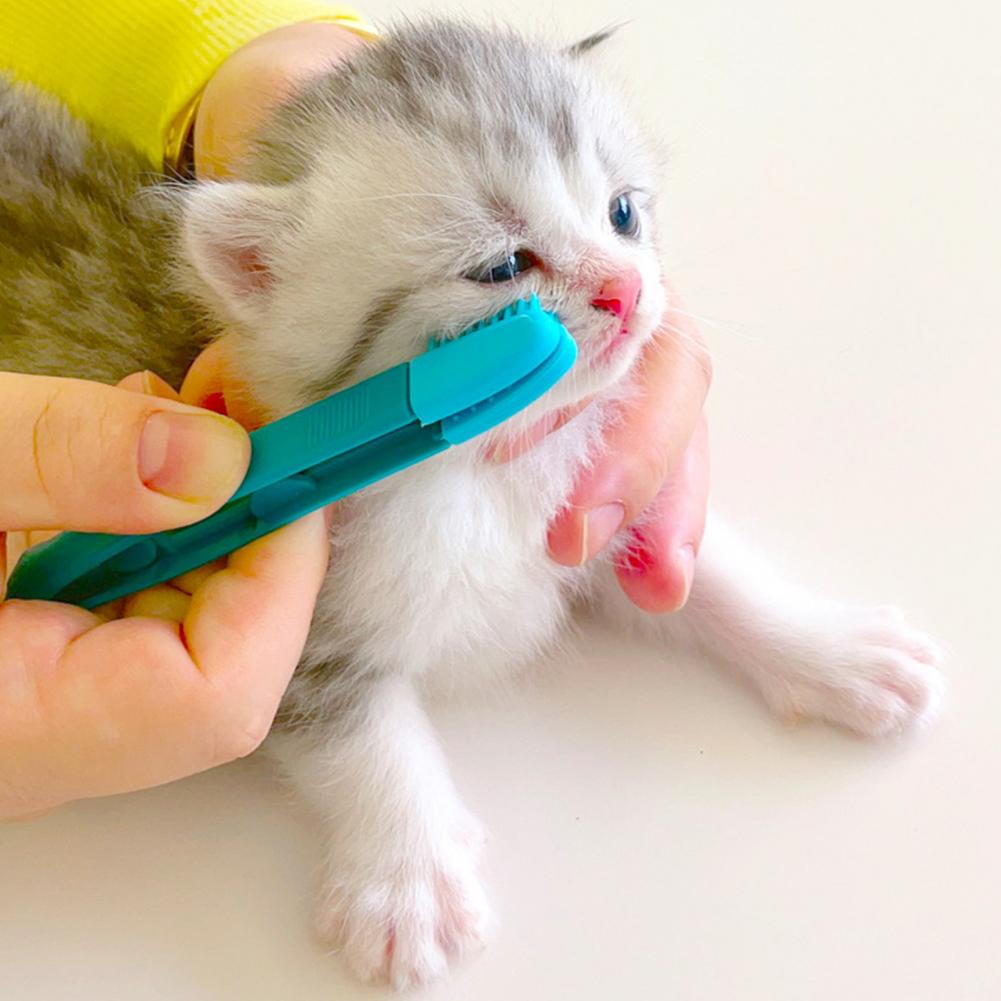 Kitten Eye Rub Brush