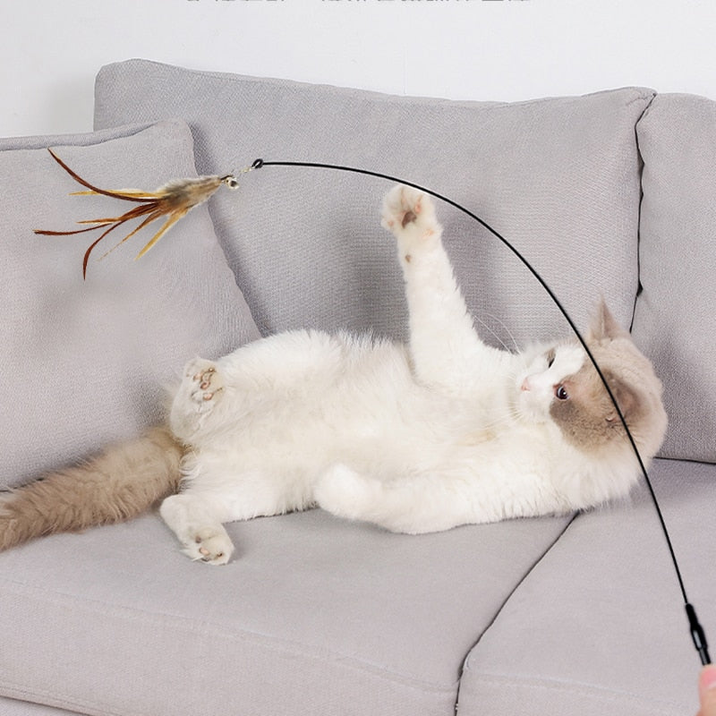 Interactive Cat Toy