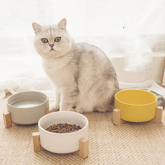 Cat Basin Ceramic Bowl