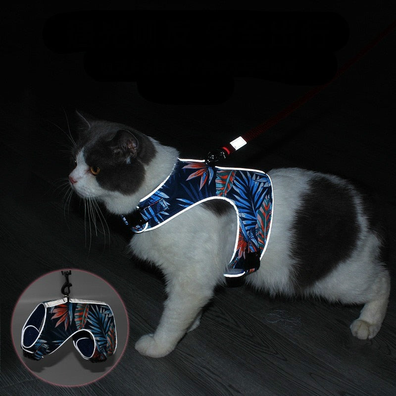 Polyester Pet Harness
