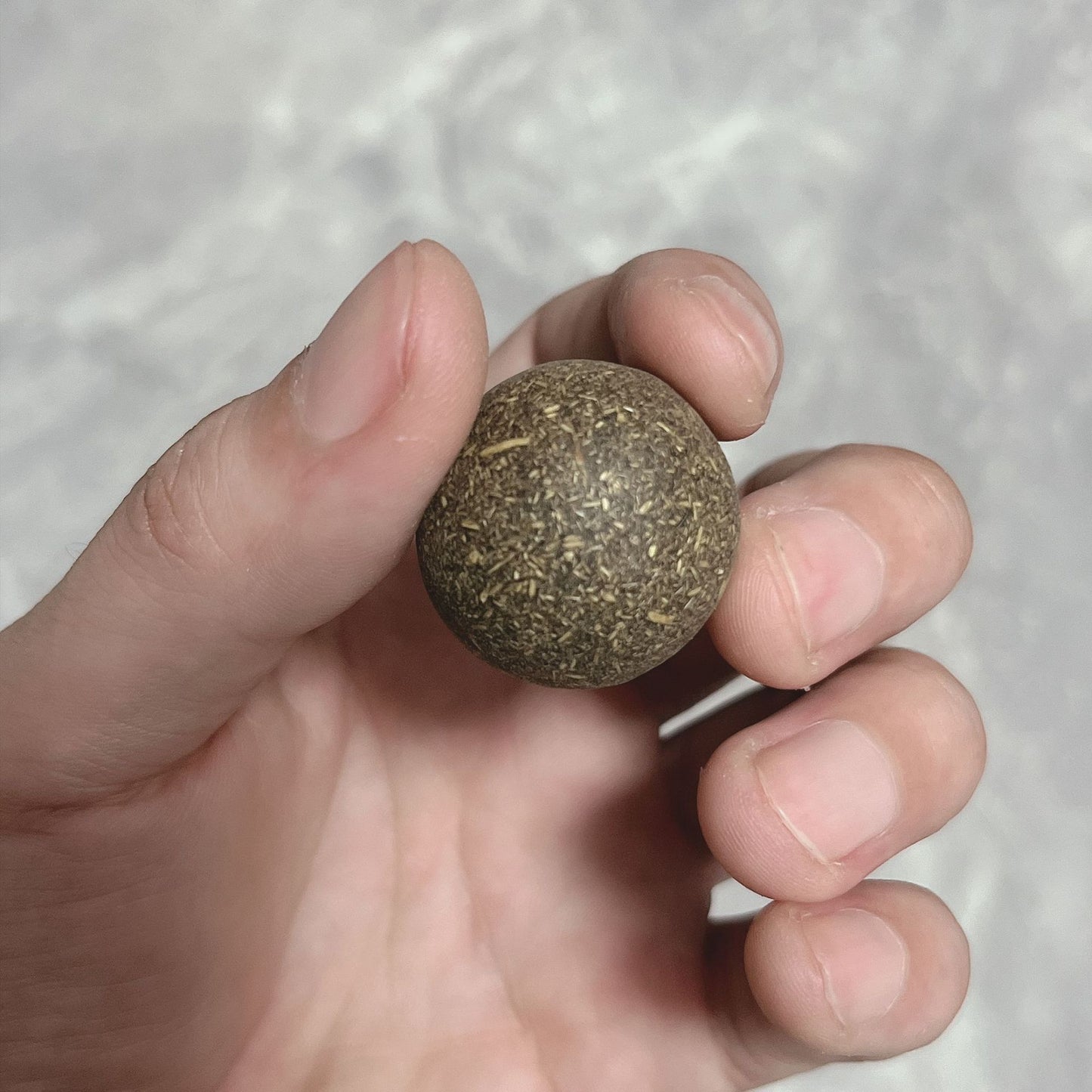 Cat Avocado Mint Ball