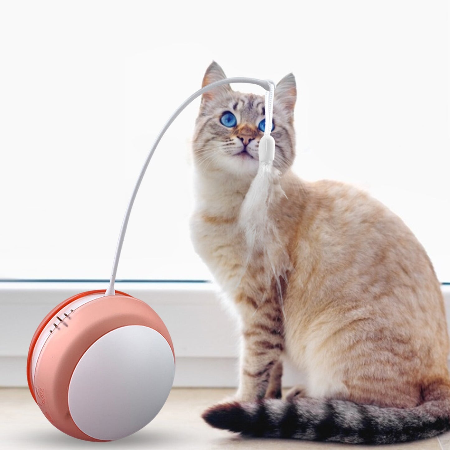 Funny Cat Toy