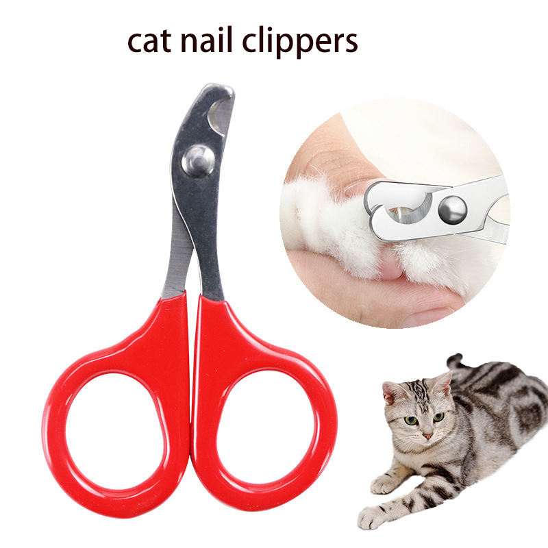 Stainless Steel Pet Scissors