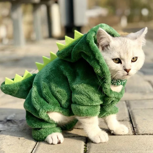 Cat Clothes