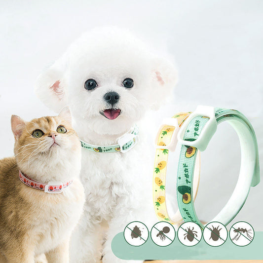 Cat Collar