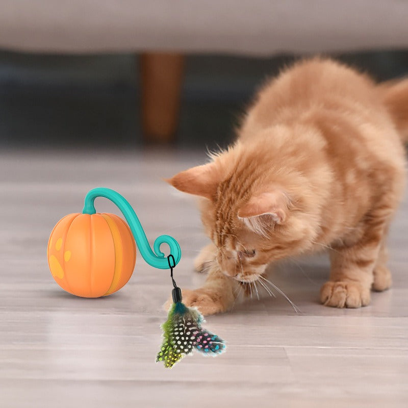 Pumpkin Appearance Electric Ball Cat Toys