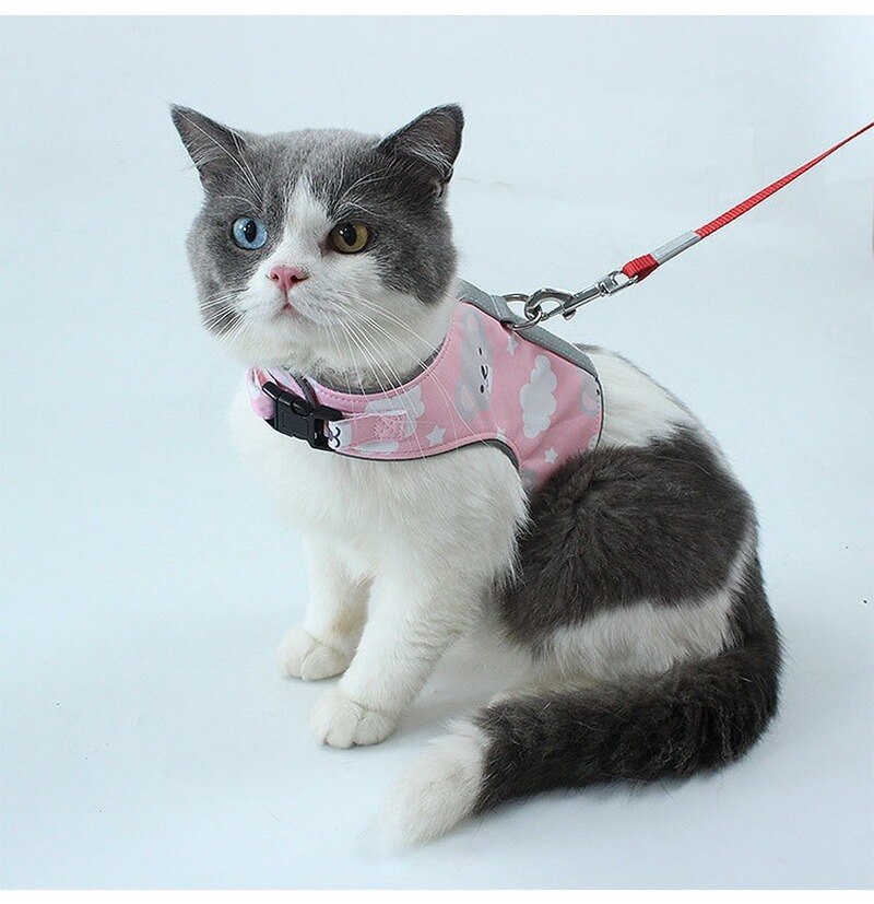 Polyester Pet Harness