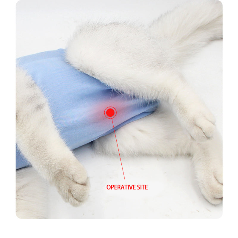 Pet Postoperative Recovery Clothes