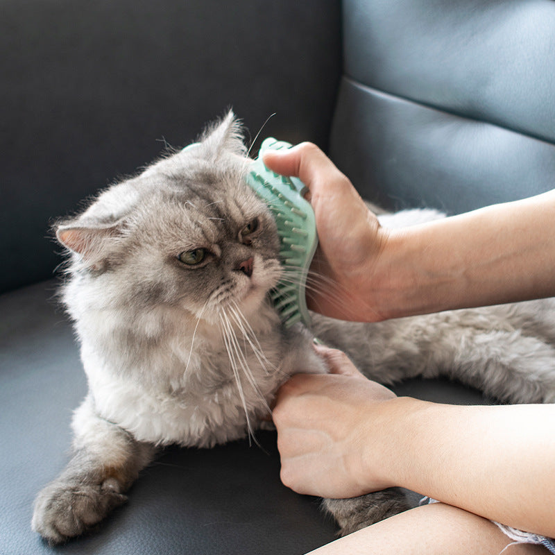 Corner Rubbing Device Massage Comb Cat Toy