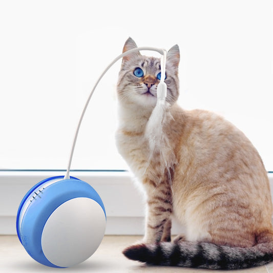 Funny Cat Toy