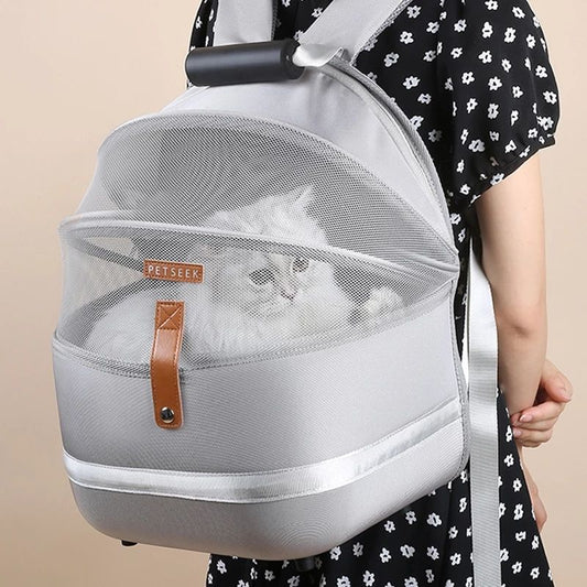 حقيبة القط