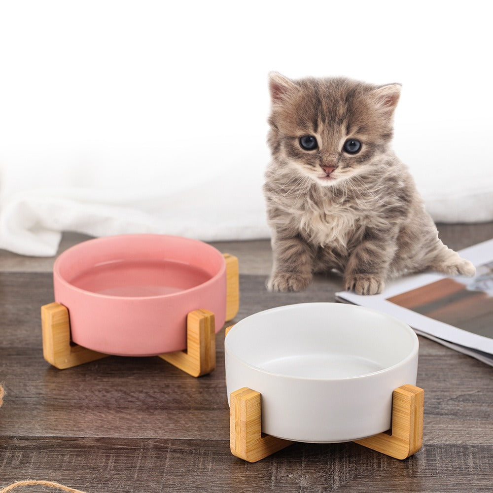 Cat Basin Ceramic Bowl