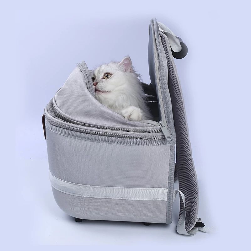 Cat Bag