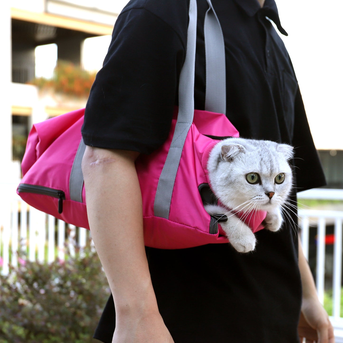 Cat Bag Double-Layer