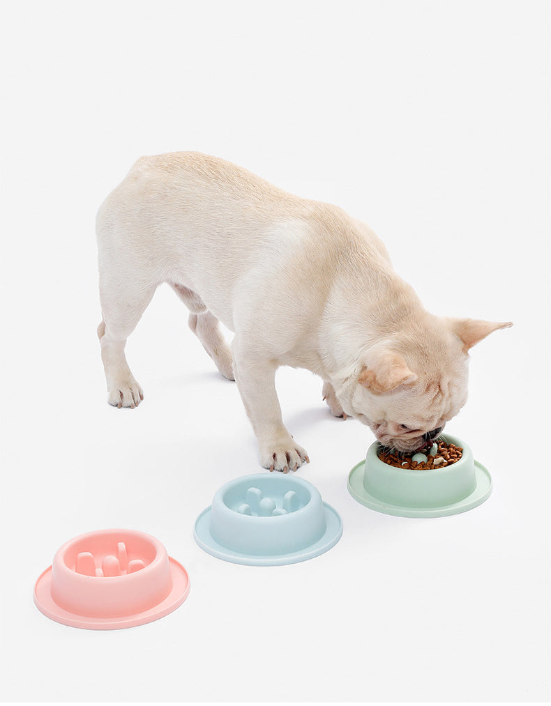 Cat and Dog Food Bowl