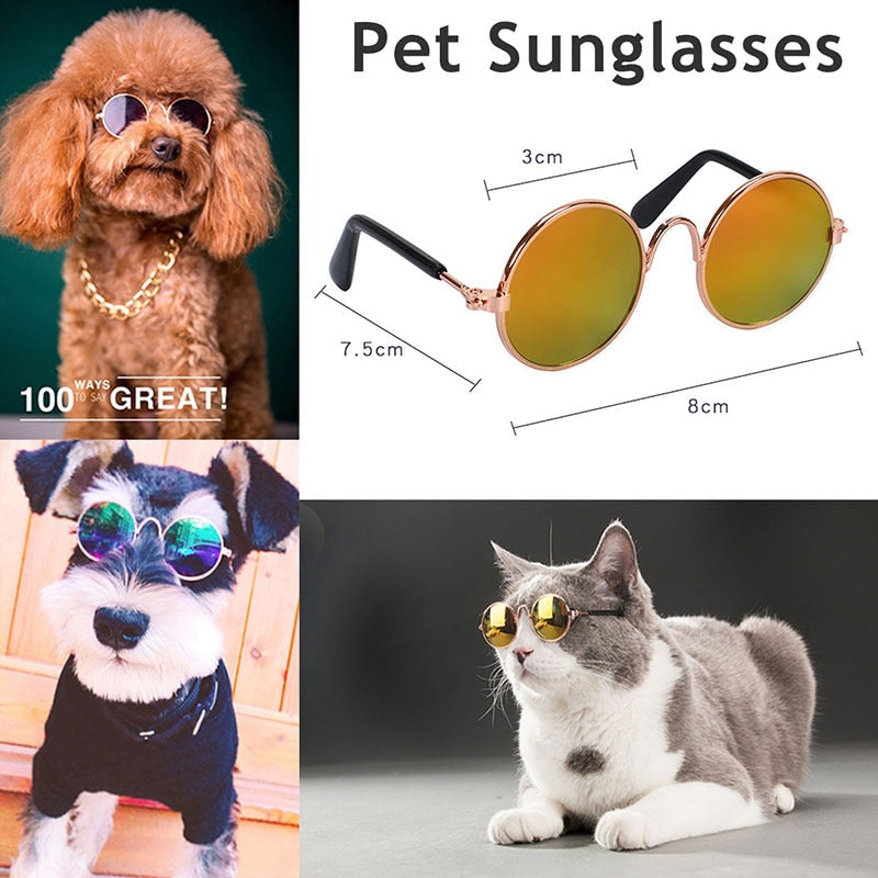 1 قطعة نظارات القط جميل الكلب