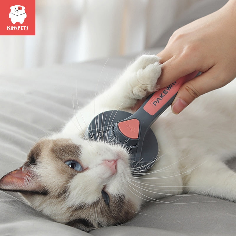 Cat Comb and Beauty Products
