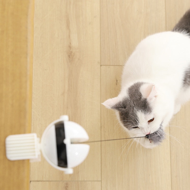 Electric Automatic Lifting Cat Ball Toy (Interactive)