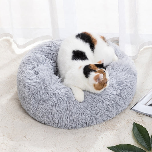Cat Nest