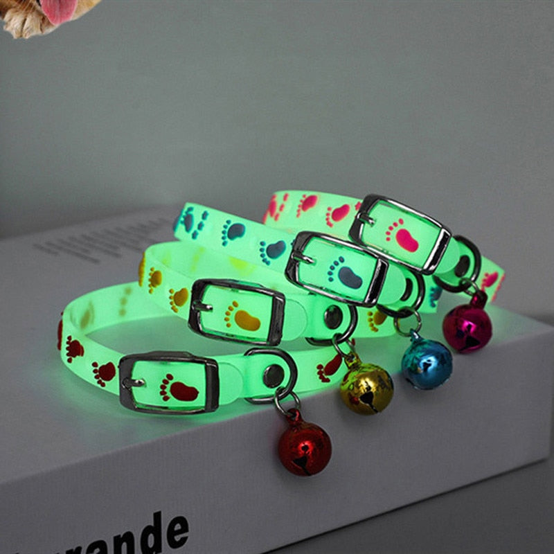 Cats Collar with Glowing Bells Glow At Night