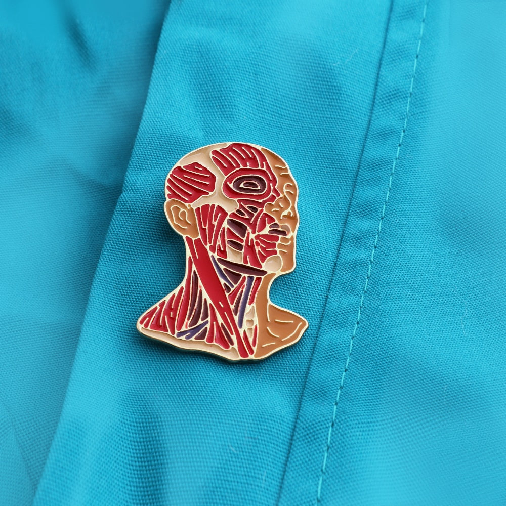 Head and Neck Anatomy Brooches