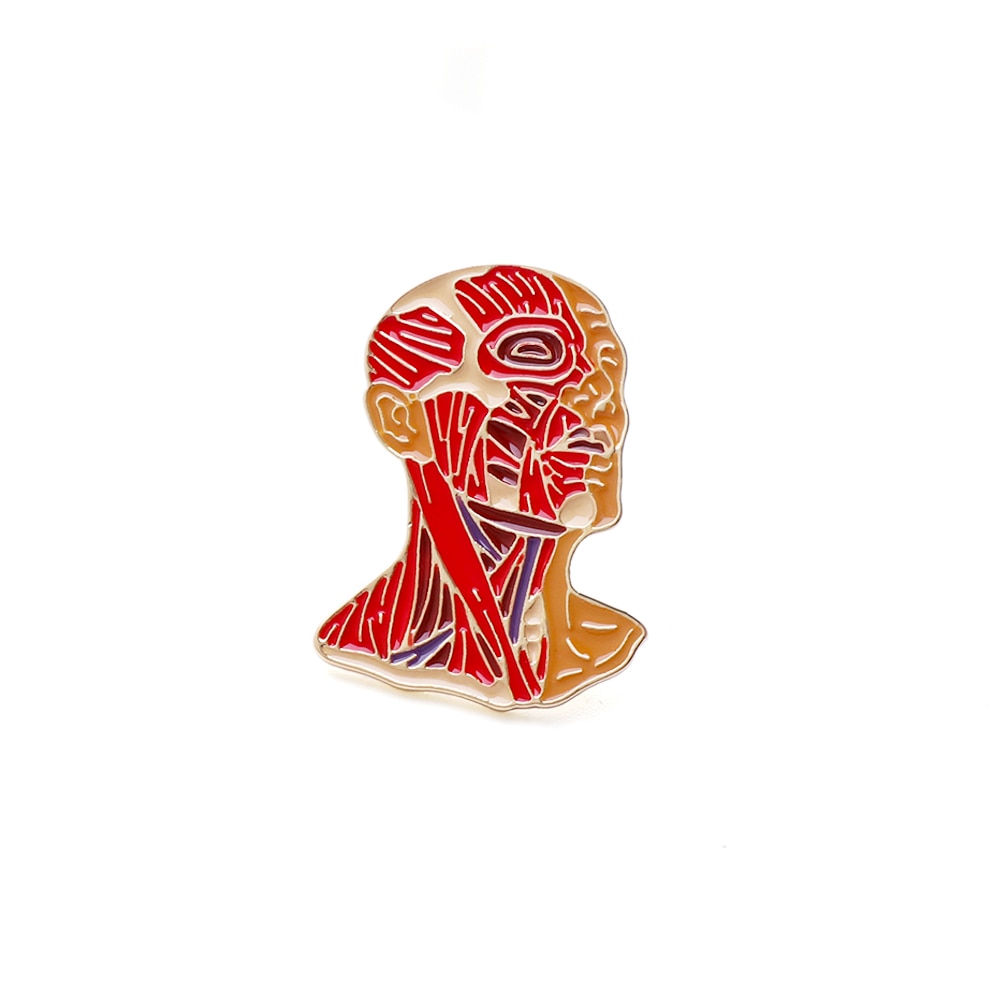 Head and Neck Anatomy Brooches