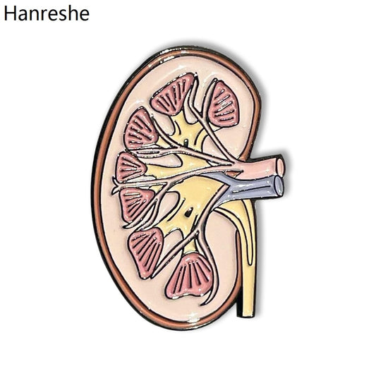 Niere und Körperorgane Anatomie Brosche