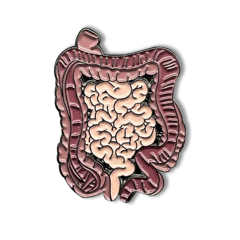 Kidney and body organs Anatomy Brooch